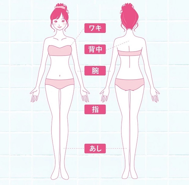 パイナップル豆乳除毛クリーム　使える部位　エリア　図解